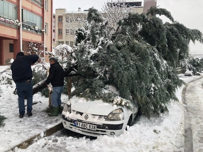 Düzce'de kar yağışına dayanamayan ağaç, aracın üzerine devrildi