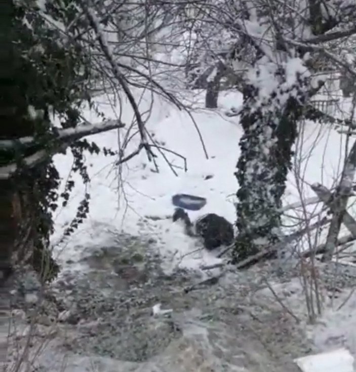 Bursalı gencin kızaklı kar kazası