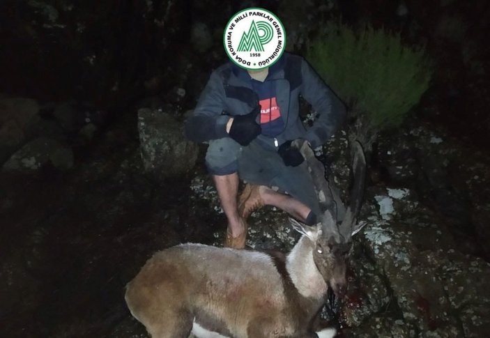 Denizli'de yaban keçilerini vuran şahıslara idari para cezası