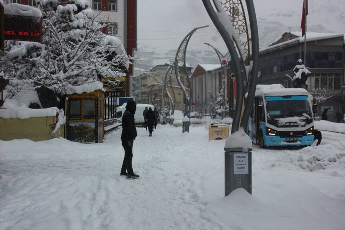 Doğu Anadolu'da kara kış