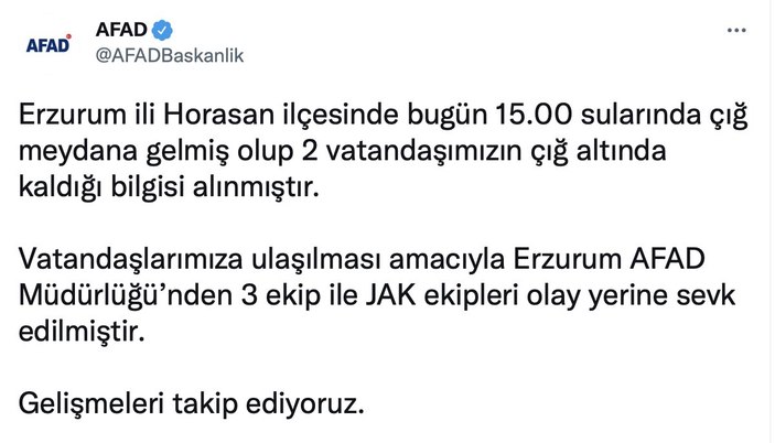 Erzurum'da çığ altında kalan 2 kişi hayatını kaybetti