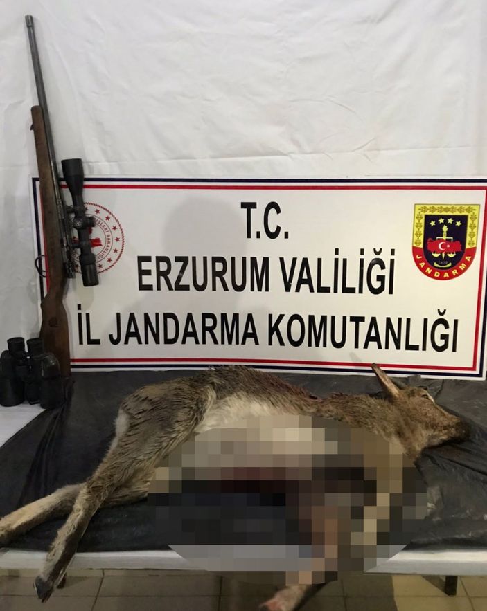 Erzurum'da yaban keçisi avlamaya 60 bin TL ceza