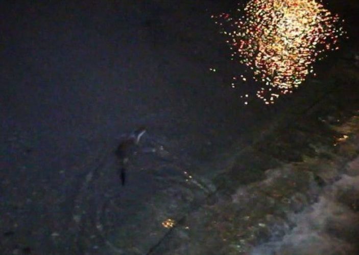 İ Oltu Çayı'nda yemek arayan su samurları görüntülendi