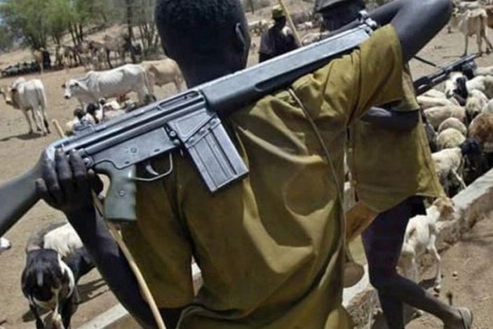 Nijerya'da silahlı saldırı: 11 kişi öldü