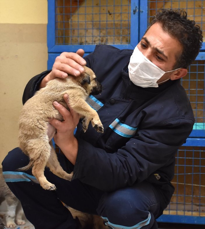 Erzurum'da donmak üzereyken kurtarılan 63 köpek yavrusunun durumları iyi