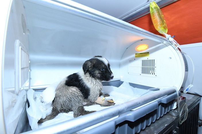 d Konya’da mahsur kalan köpek, robotik kanal görüntüleme sistemiyle kurtarıldı