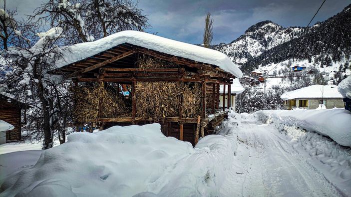 Artvin'deki köylüler, kışın da geleneksel yaşamı sürdürüyor