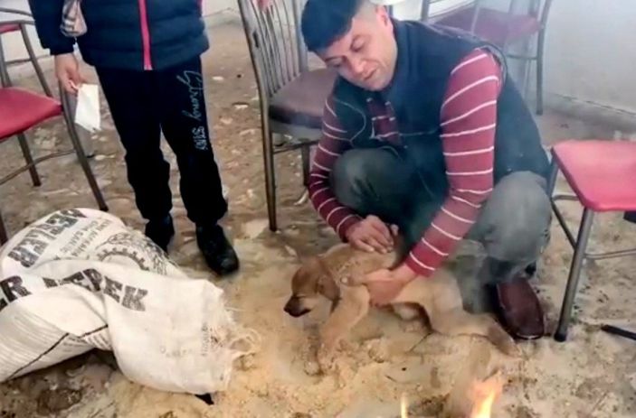 i Osmaniye'de donmak üzere olan yavru köpek kurtarıldı