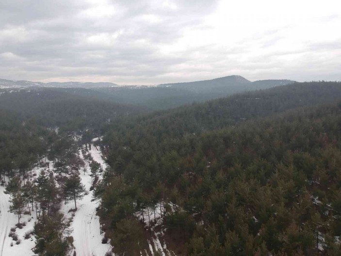 Sinop'ta 30 milyon ağaç dikti, bölgeyi değiştirdi