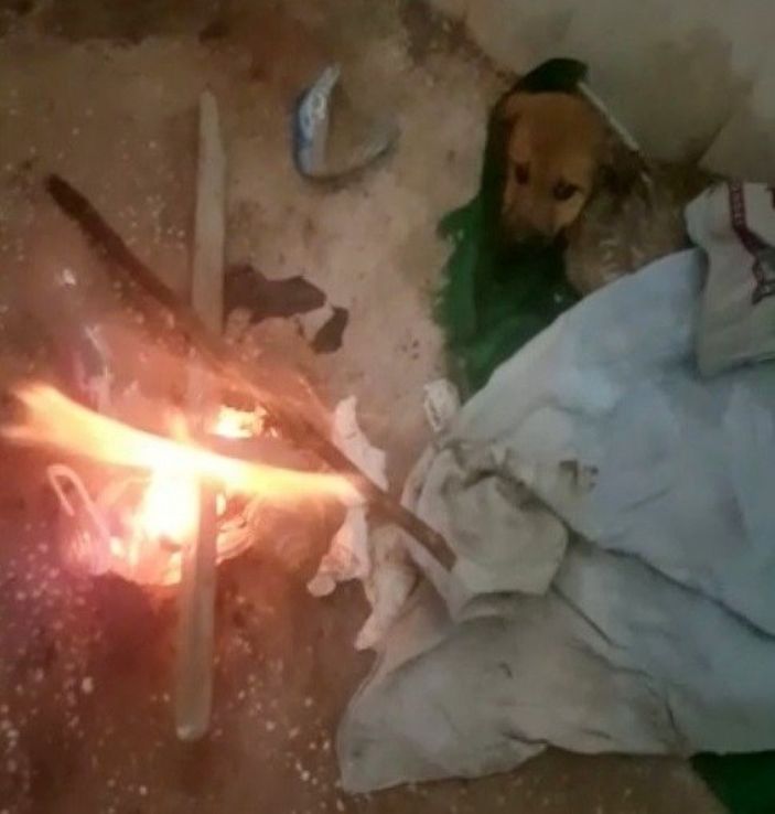 i Osmaniye'de donmak üzere olan yavru köpek kurtarıldı