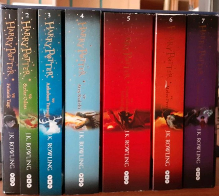 ABD'de bir papaz, Harry Potter ve Twilight kitaplarını yaktırdı