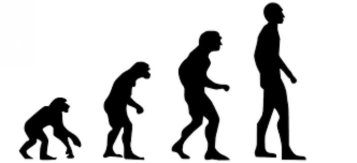 Bilim dünyasını sarsan iddia: Evrim teorisi çalıntı