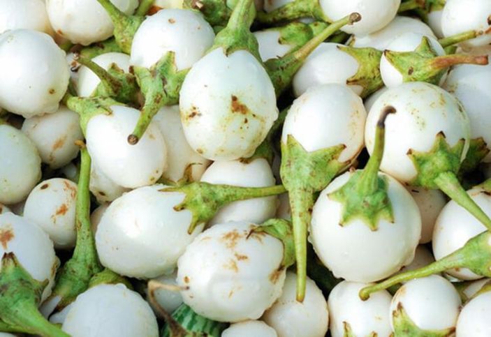 Reflüyü geçiren bitki: Yumurta çiçeği nedir, faydaları nelerdir?