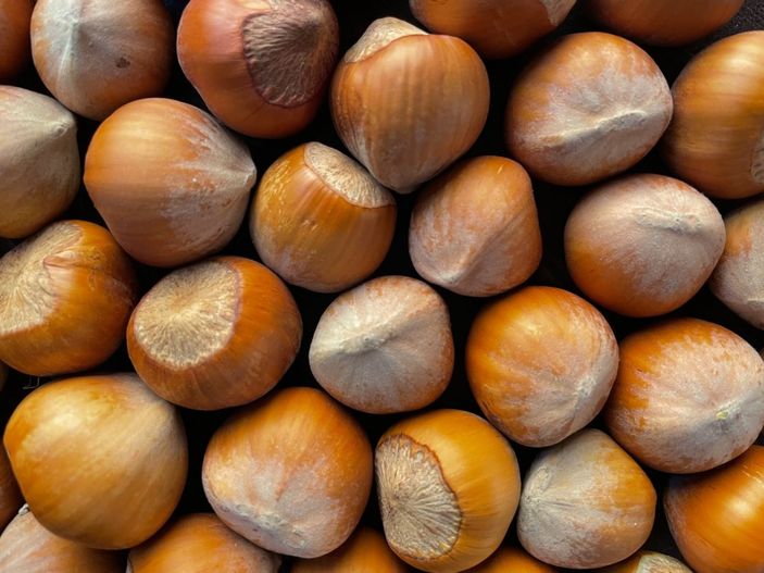 Fındığın sağlığa 7 mucizevi faydası