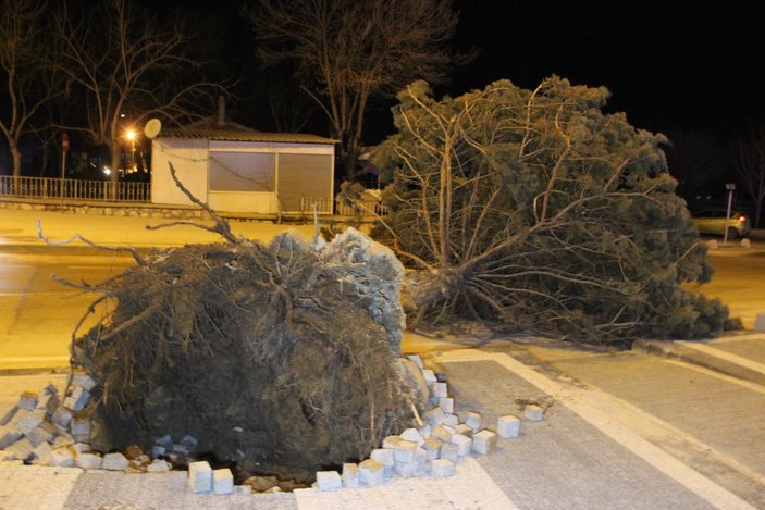 Karaman'da şiddetli rüzgar çatıları uçurup, ağaçları kökünden söktü