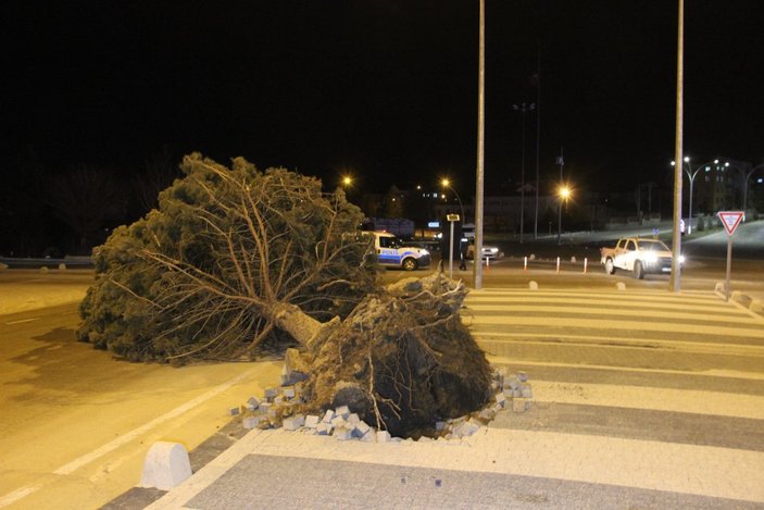 Karaman'da şiddetli rüzgar çatıları uçurup, ağaçları kökünden söktü