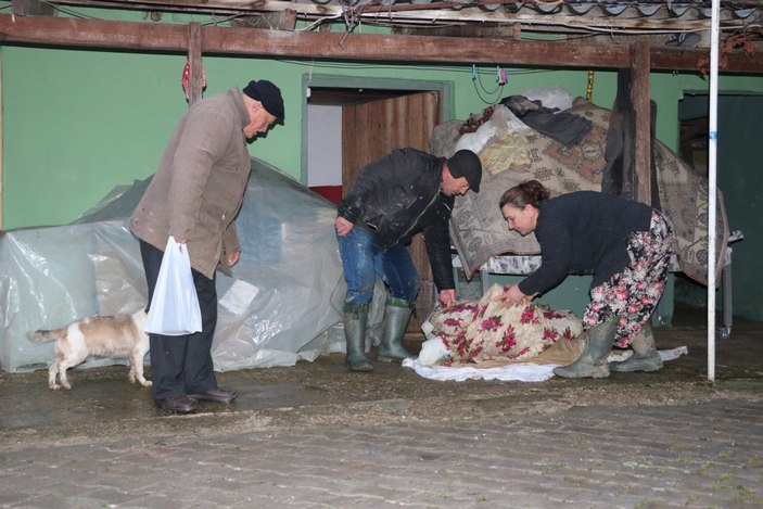 Edirne'de selden köpek havlamasıyla kurtuldular