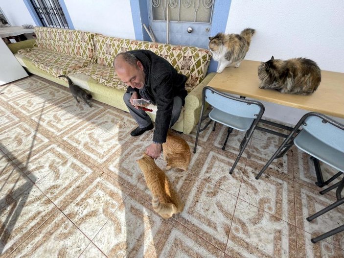 Elazığlı hayvansever, yazlık evini sokak kedilerine açtı