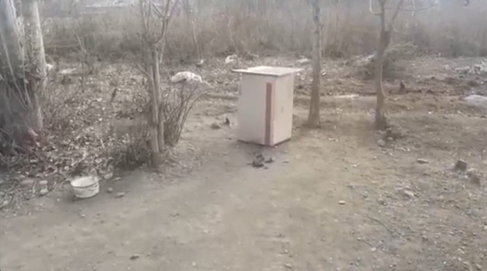 Iğdır'da aç kurt sürüsü, köpeği parçaladı