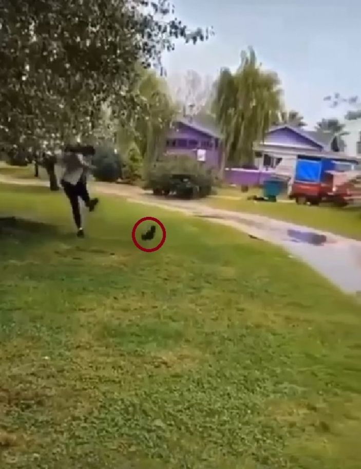 Yalova’da yavru kediyi tekmeleyen Iraklı çocuk için 5 yıl hapis istemi