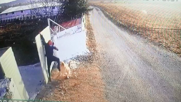 Afyonkarahisar'da köpek, bir öğretmene saldırdı