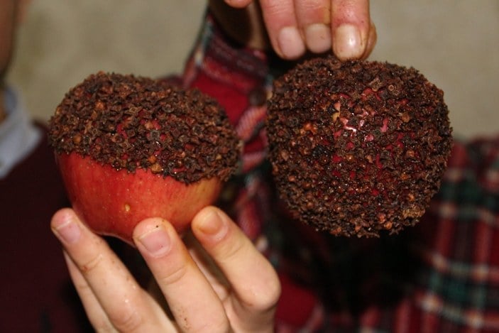 Bitlis'te aşkın sembolü olan karanfil bezeli elma yaptılar