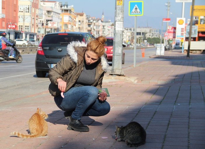 Antalya’da kediyi tekmeleyerek metrelerce havaya uçurdular