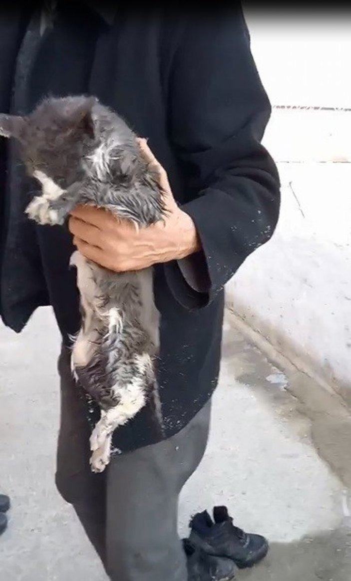 Erzurum’da, buz tutan boruda mahsur kalan kedi kurtarıldı
