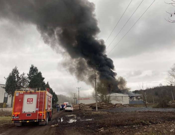 Sakarya'da geri dönüşüm fabrikasında yangın