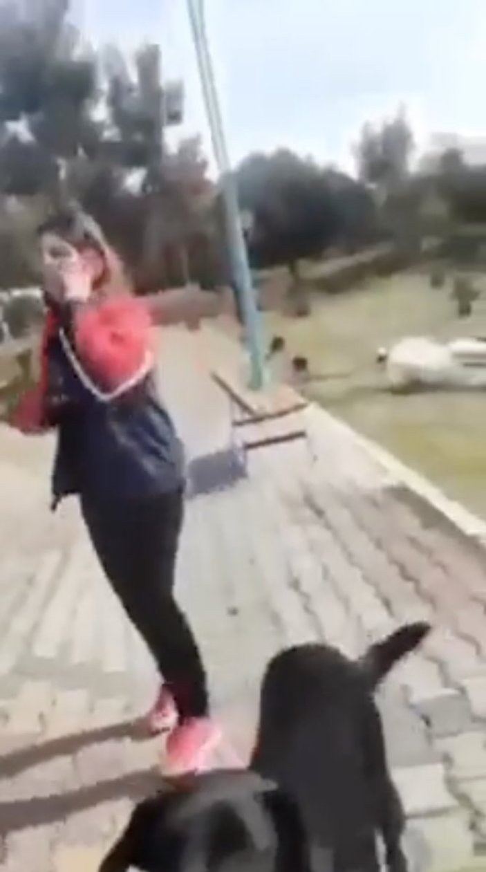 İzmir'de hayvanseverler, köpeklerin saldırdığı adama saldırdı