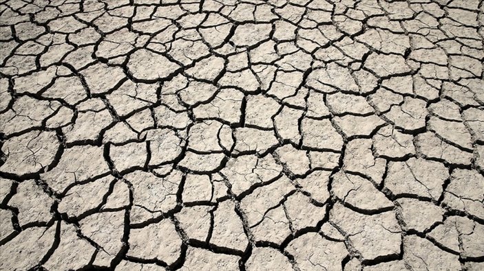 ABD'nin batısında 1200 yılın en büyük kuraklığı yaşanıyor