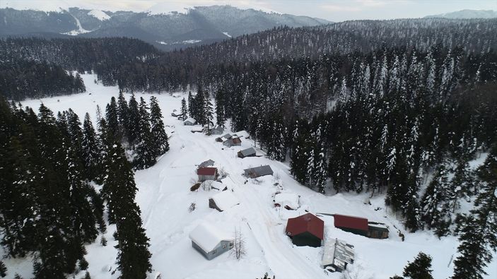Bursalı esnaf, aradığı huzuru yayla yaşamında buldu