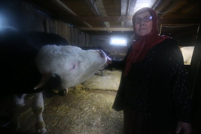 Bursalı esnaf, aradığı huzuru yayla yaşamında buldu