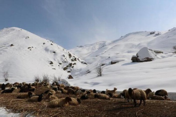 Hakkari'de besiciler, çığdan son anda kurtuldu