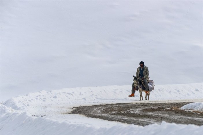 Van'da besiciler, zorlu kış şartlarında mücadele ediyor