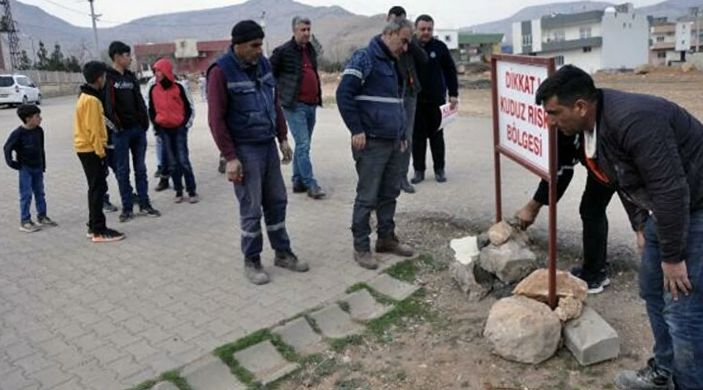 Mardin'de 7 kişiyi yaralayan köpek kuduz çıktı: 1 mahalle karantinada