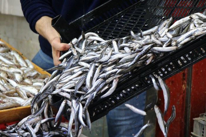 Samsun'da balık satıcıya ucuz alıcıya pahalı geliyor