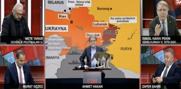 CNN Türk canlı yayınını kedi bastı