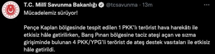 Pençe Kaplan ve Barış Pınarı bölgelerinde 5 terörist öldürüldü