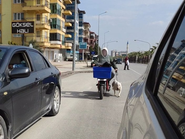Denizli'de motosiklete bağladığı köpeği koşturan şahıs: Spor yaptırıyorum