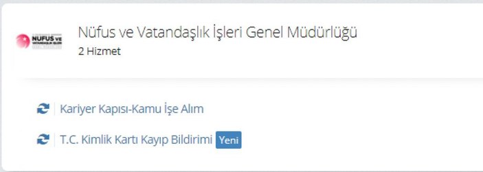 Kimlik kayıp ihbarı 2022: TC kimlik kartı kayıp bildirimi nasıl yapılır? e-Devlet ekranı