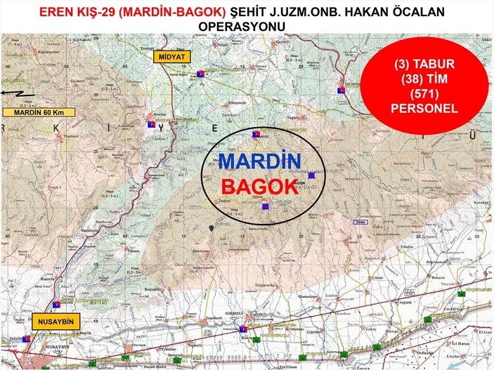 Mardin'de Eren-Kış 29 Operasyonu başladı