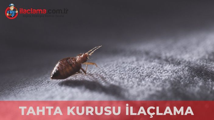 Pire İlaçlama