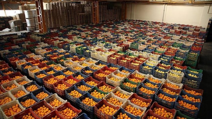 Rusya, Türkiye dahil 9 ülkeden sebze ithalatını artırıyor
