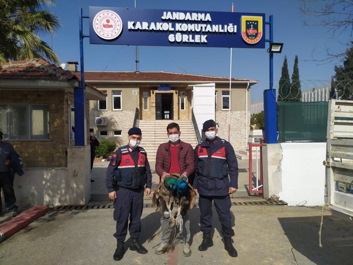 i Denizli'deki hırsızlık çetesi, çalınan tavus kuşlarını yeme kavgası yaptı