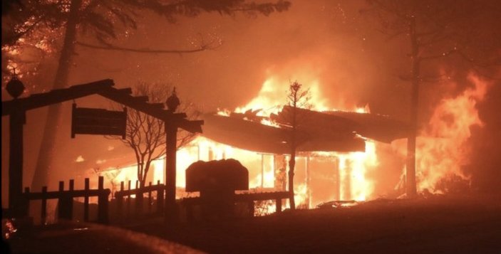 Güney Kore'de orman yangını: 216 bina kül oldu