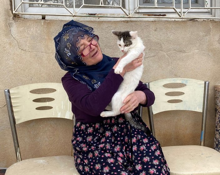 Elazığ'da Nuriye Teyze, 70 kedinin annesi oldu