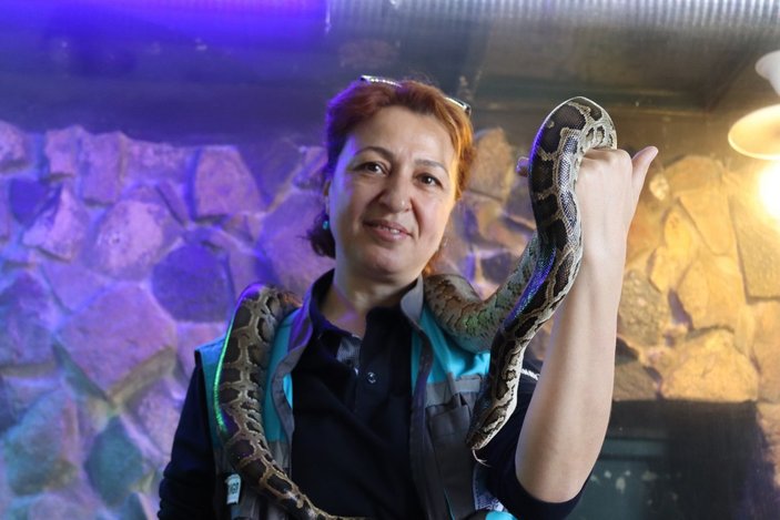 Kayseri'deki yılan bakıcısı kadın: Aramızda sevgi bağı oluştu