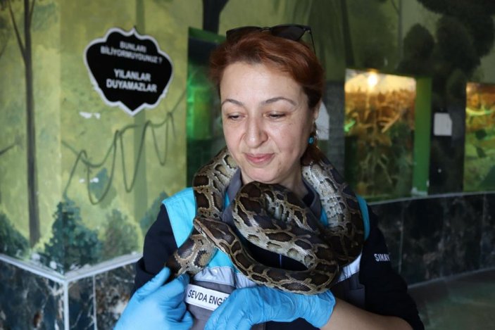 Kayseri'deki yılan bakıcısı kadın: Aramızda sevgi bağı oluştu