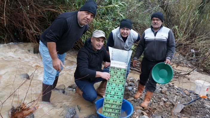i Denizli’de soğuk suda altın avı